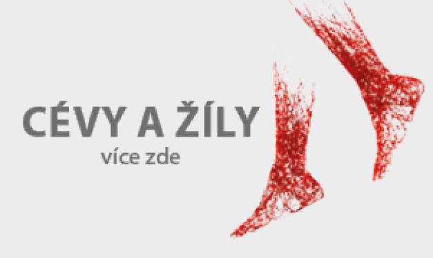 Cévy a žíly